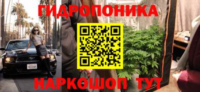 амф Будённовск