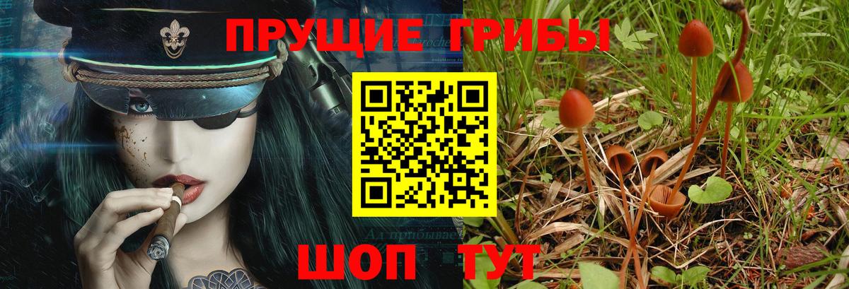 Псилоцибиновые грибы мухоморы  Псилоцибиновые грибы мухоморы  Вход с VPN  Сатка 
