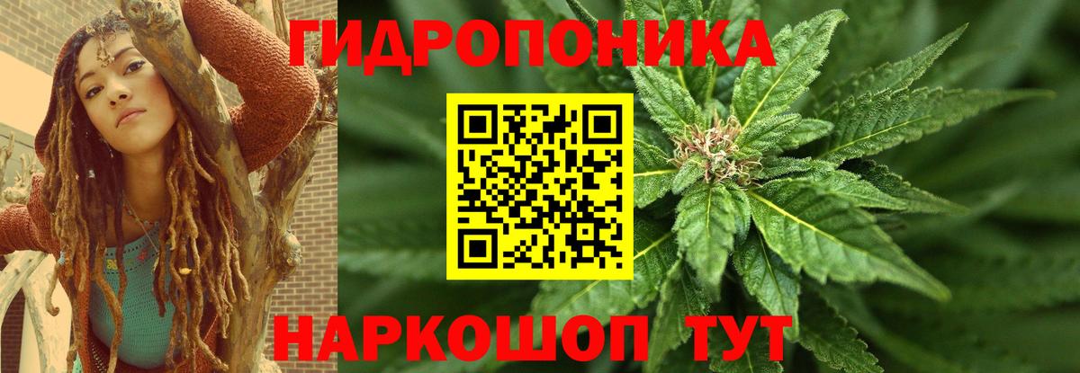 Канабис Amnesia Сатка